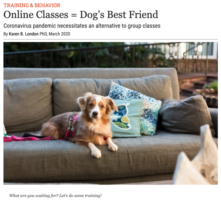 Dog's Best Friend article on thebark.com
